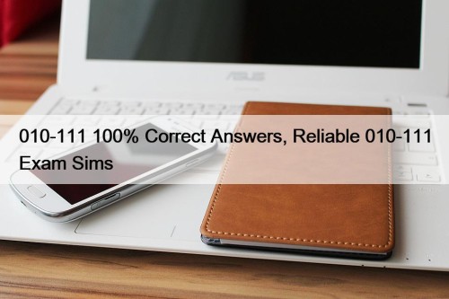 010-111 100% Correct Answers, Reliable 010-111 Exam Sims